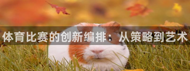 体育比赛的创新编排：从策略到艺术